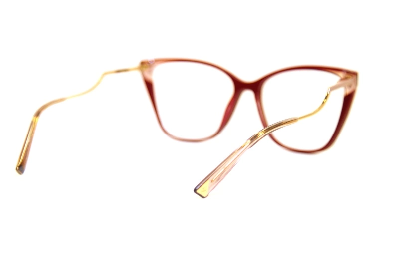 ANA HICKMANN 6402 P02