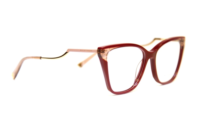 ANA HICKMANN 6402 P02