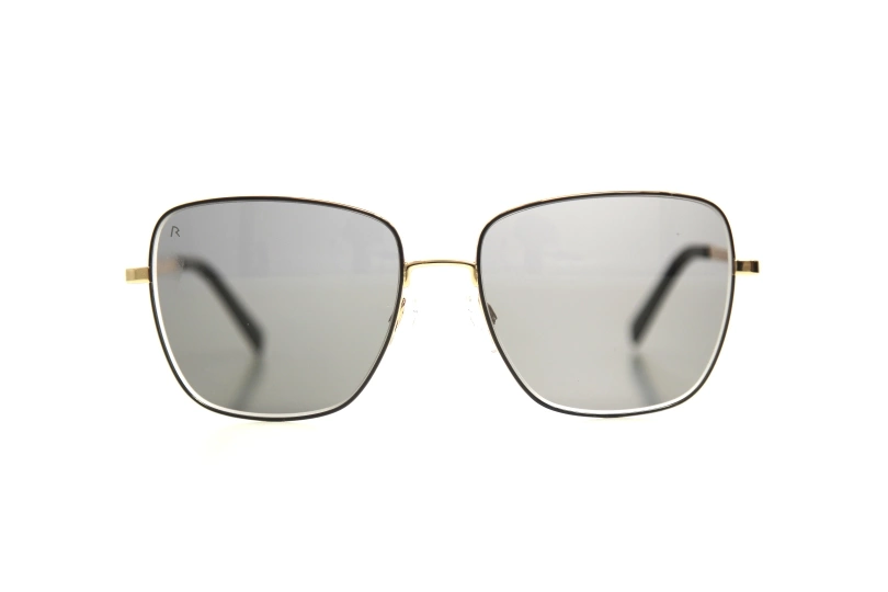 Солнцезащитные очки RODENSTOCK 109 D