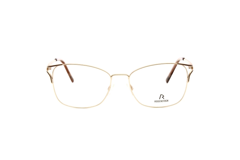 Оправа RODENSTOCK 2634 C (54)