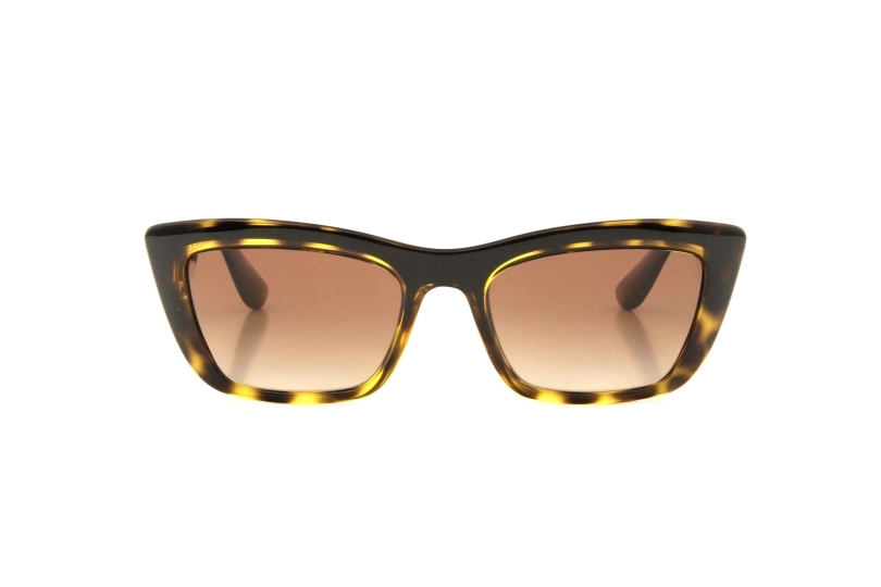 Солнцезащитные очки DOLCE & GABBANA 6171 330613 (54)