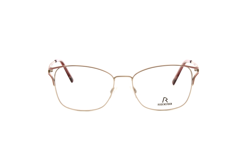 Оправа RODENSTOCK 2634 D (54)