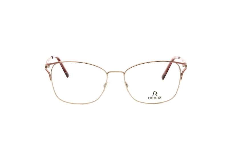 Оправа RODENSTOCK 2634 D (54)