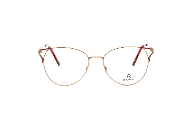 Оправа RODENSTOCK 2635 D (53)