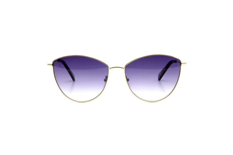 Солнцезащитные очки LONGCHAMP 155S 713
