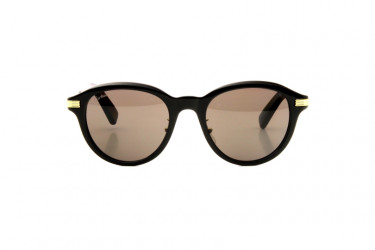 Солнцезащитные очки CARTIER 0395SA 001