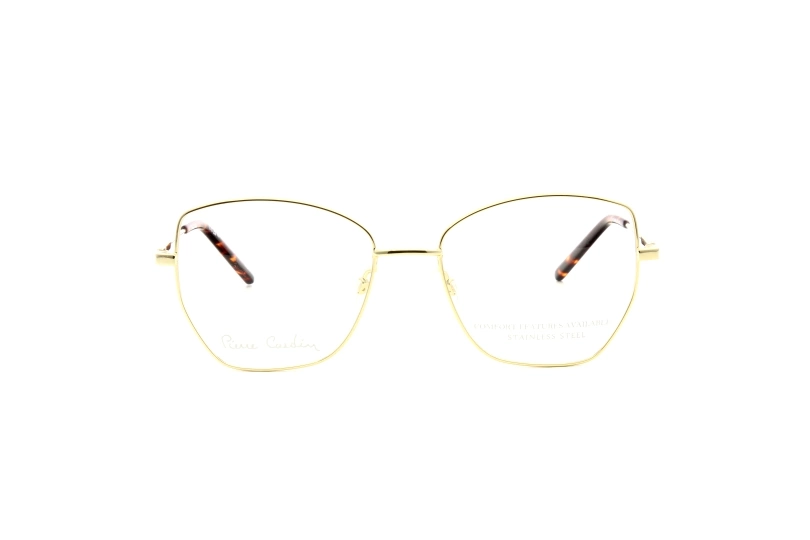 Оправа PIERRE CARDIN 8876 J5G