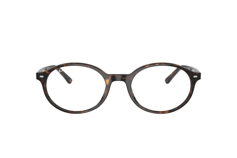 Оправа RAY-BAN 5429 2012 (53)