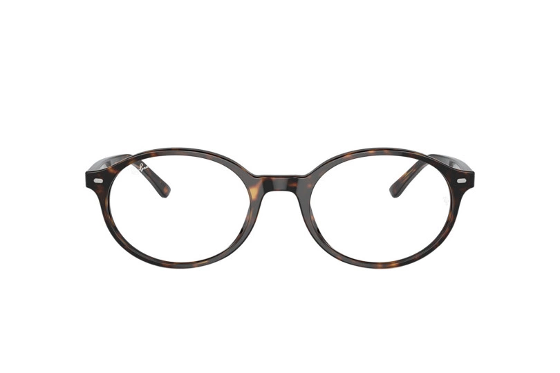 Оправа RAY-BAN 5429 2012 (53)
