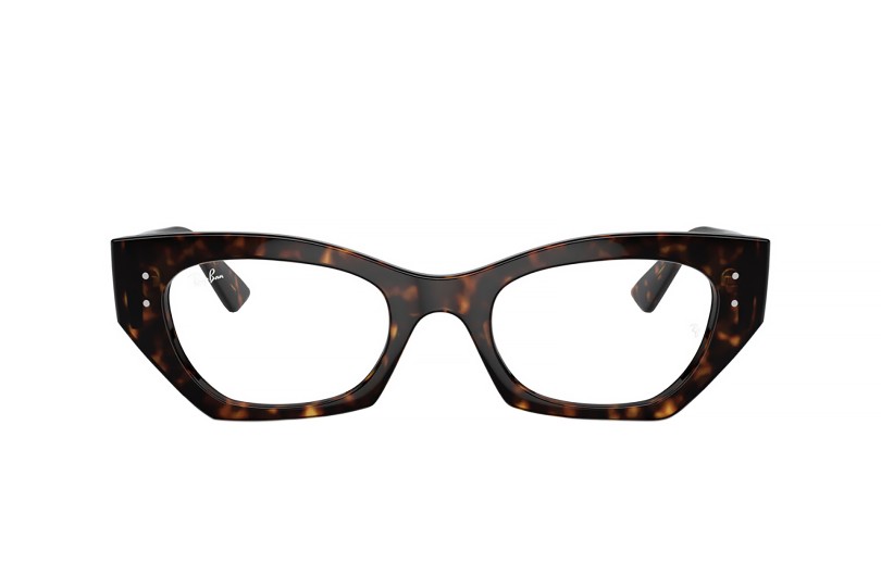 Оправа RAY-BAN 7330 8320 (52)