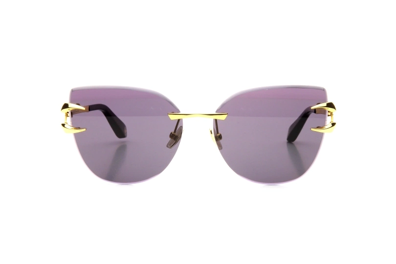 Солнцезащитные очки ROBERTO CAVALLI 043 400