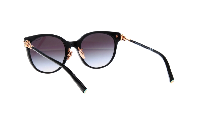 TIFFANY 4223D 80013C (54)