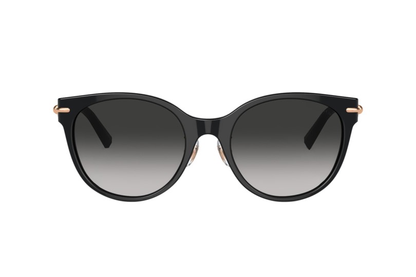 Солнцезащитные очки TIFFANY 4223D 80013C (54)