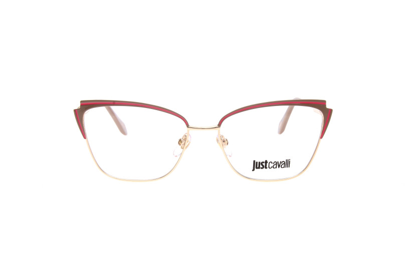 Оправа JUST CAVALLI 054 F47