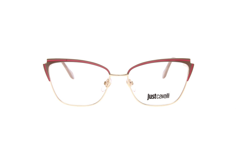 Оправа JUST CAVALLI 054 F47