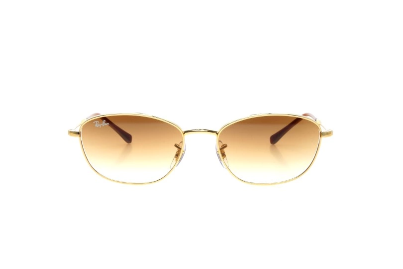 Солнцезащитные очки RAY-BAN 4456 667781 (53)