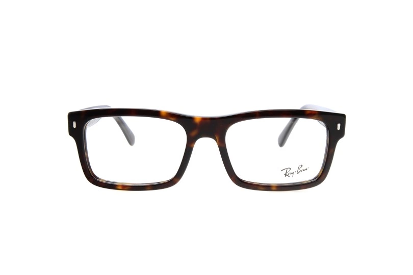 Оправа RAY-BAN 5435 2012 (56)