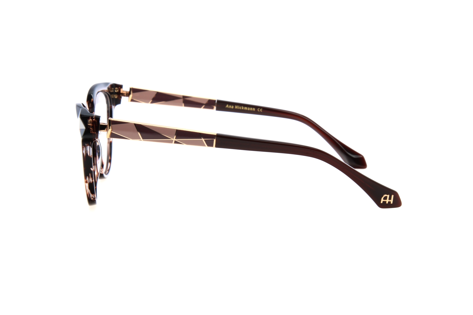 ANA HICKMANN 6556 E01
