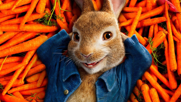 Кролик лежит на морковках