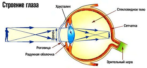 Проверка зрения